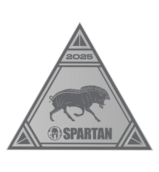 SPARTAN 2025 Tri-State New York Delta Icon